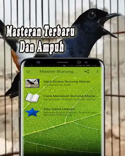 Play Kicau Murai Batu Offline
