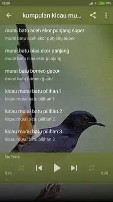 Play Kicau Murai Batu Offline