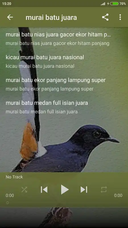 Play Kicau Murai Batu Offline
