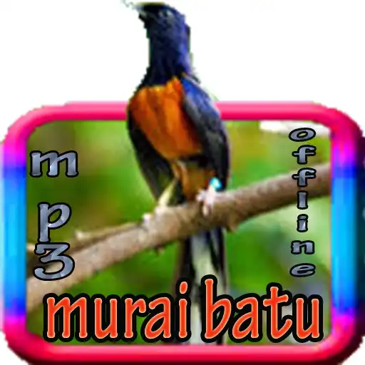 Free play online Kicau Murai Terlengkap APK