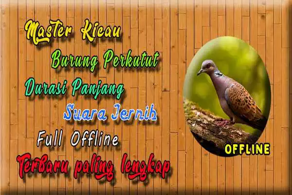 Play Kicau Perkutut Lokak MP3