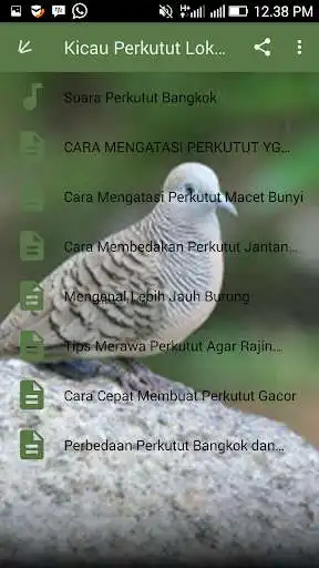 Play APK Kicau Perkutut Lokal Juara  and enjoy Kicau Perkutut Lokal Juara with UptoPlay com.jehova.kicauperkututlokaljuara