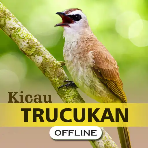 Play Kicau Trucukan Gacor Offline APK Play Kicau Trucukan Gacor Offline APK