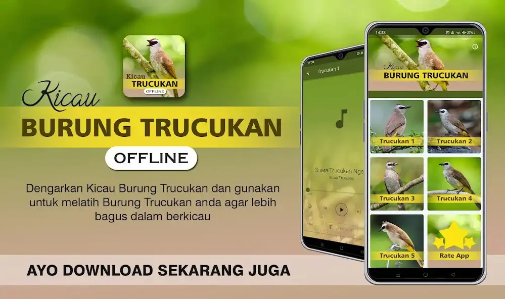 Play Kicau Trucukan Gacor Offline  and enjoy Kicau Trucukan Gacor Offline with UptoPlay