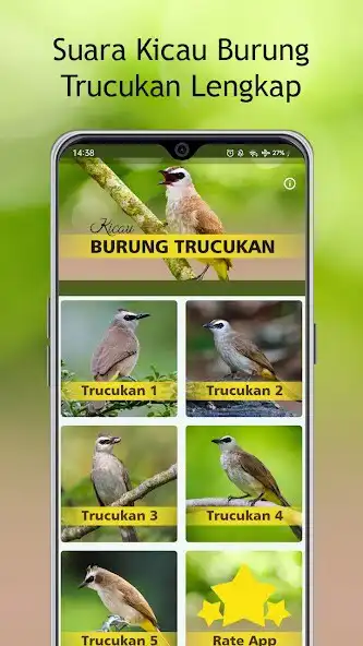 Play Kicau Trucukan Gacor Offline as an online game Kicau Trucukan Gacor Offline with UptoPlay