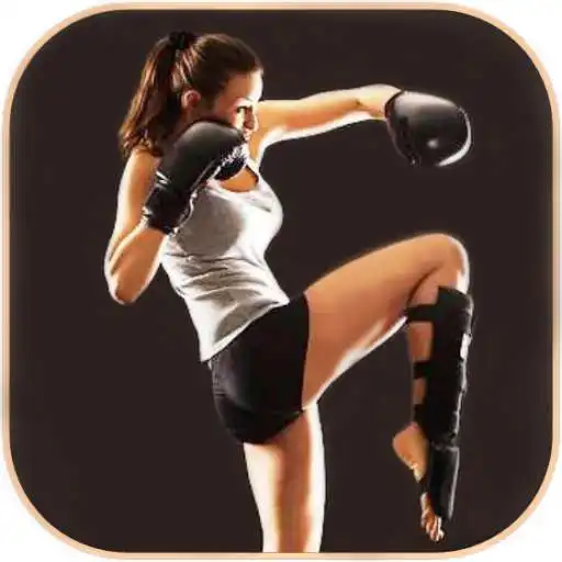 Play Kickboxing SbS APK