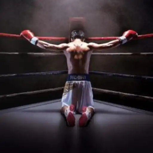 Play Kick Boxing Wallpaper 4K APK