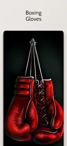 Play Kick Boxing Wallpaper 4K  and enjoy Kick Boxing Wallpaper 4K with UptoPlay