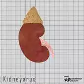 Free play online Kidneyarus APK