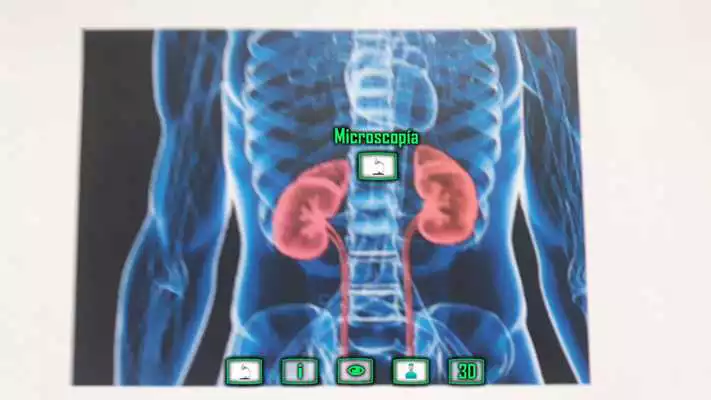 Play Kidneyarus