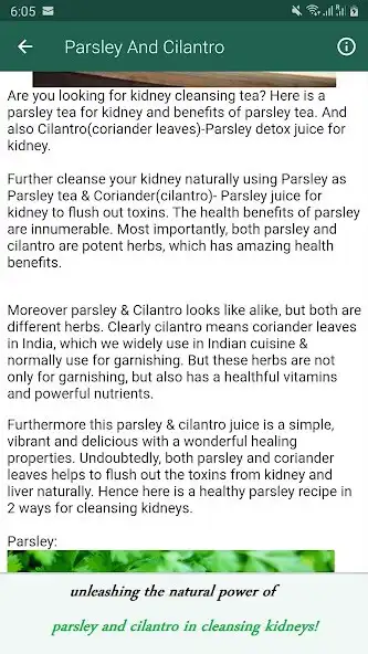 Play Kidney Cleanse Juice as an online game Kidney Cleanse Juice with UptoPlay