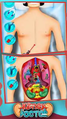Play Kidney Doctor