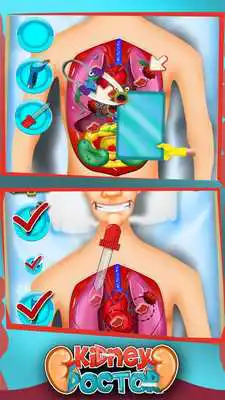 Play Kidney Doctor