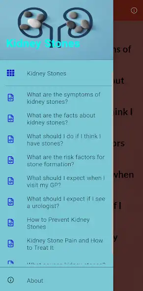 Play Kidney Stones and Treatment and enjoy Kidney Stones and Treatment with UptoPlay Play Kidney Stones and Treatment and enjoy Kidney Stones and Treatment with UptoPlay