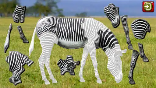 Play Kids Animal Jigsaw Puzzles as an online game online Kids Animal Jigsaw Puzzles with UptoPlay au.com.espace.puzzle.animal Play Kids Animal Jigsaw Puzzles as an online game Kids Animal Jigsaw Puzzles with UptoPlay