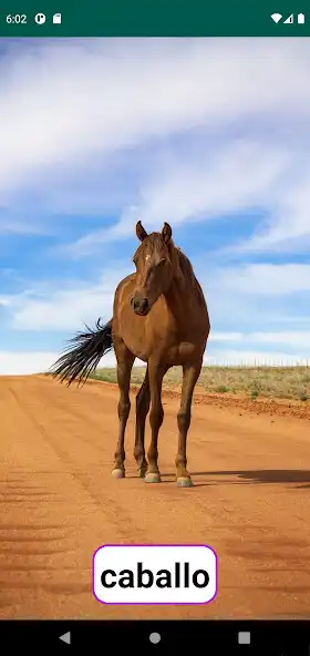 Play Kids Cards in Spanish as an online game Kids Cards in Spanish with UptoPlay