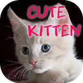 Free play online Kids Cute Kitten APK