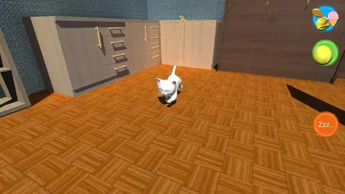 Play Kids Cute Kitten