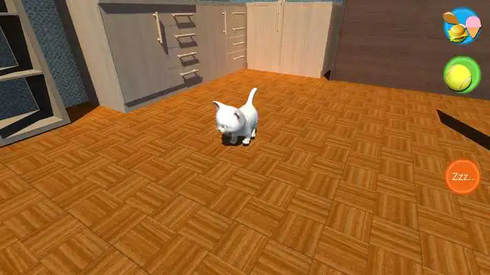 Play Kids Cute Kitten