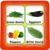 Free play online Kids Educational Charts APK Free play online Kids Educational Charts APK