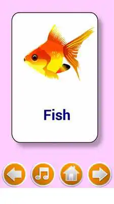 Play Kids  flashcard game