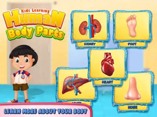 Play Kids Human Body Parts: Learning Game