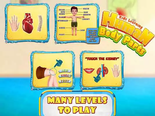 Play Kids Human Body Parts: Learning Game