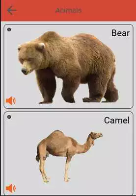 Play Kids Learning English  Maths