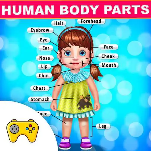 Free play online Kids Learning Human Body Parts APK Free play online Kids Learning Human Body Parts APK