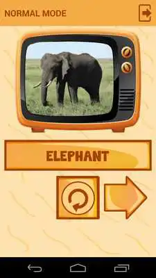 Play Kids Learn Sounds