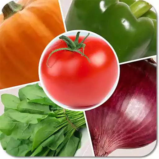 Free play online Kids Learn Vegetable Game APK