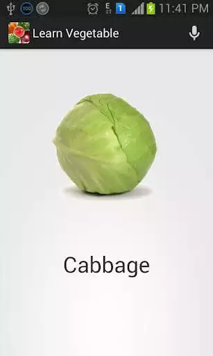 Play Kids Learn Vegetable Game