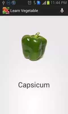 Play Kids Learn Vegetable Game