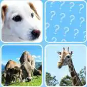 Free play online KIDS PAIRS - ANIMALS APK Free play online KIDS PAIRS - ANIMALS APK