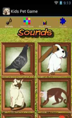 Play Kids Pet Game Free