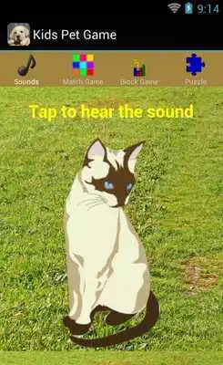 Play Kids Pet Game Free