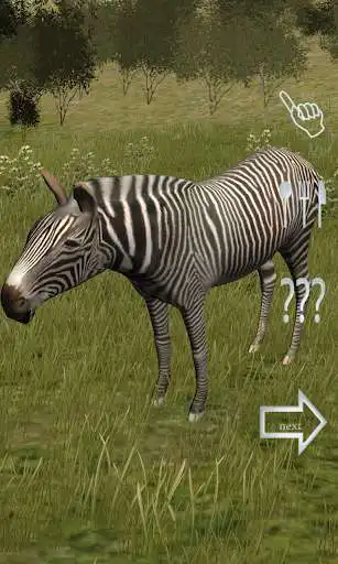 Play Kids Safari Tour  and enjoy Kids Safari Tour with UptoPlay