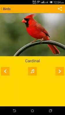 Play Kids TV - Easy2Learn