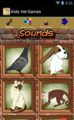 Play Kids Vet Games Free