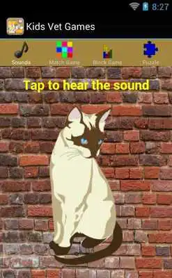 Play Kids Vet Games Free