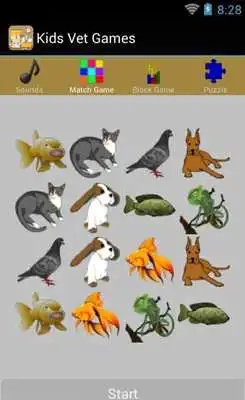 Play Kids Vet Games Free