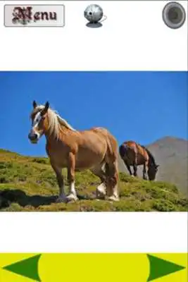 Play Kids Zoo - 3D Animated Animals