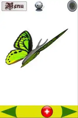Play Kids Zoo - 3D Animated Animals