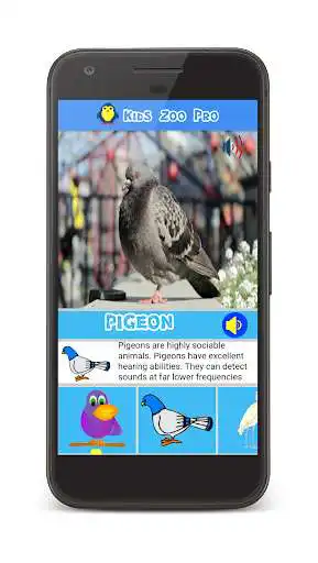 Play Kids Zoo : Animal Video and Sound  and enjoy Kids Zoo : Animal Video and Sound with UptoPlay