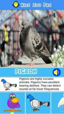 Play Kids Zoo  and enjoy Kids Zoo with UptoPlay