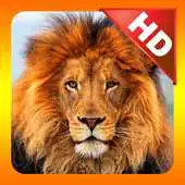 Free play online Kidzee Animals APK Free play online Kidzee Animals APK