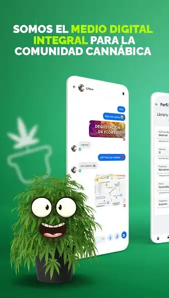 Play kief: Red Integral Cannábica  and enjoy kief: Red Integral Cannábica with UptoPlay