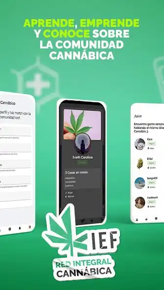 Play kief: Red Integral Cannábica as an online game kief: Red Integral Cannábica with UptoPlay