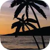Free play online Kihei Sands APK Free play online Kihei Sands APK
