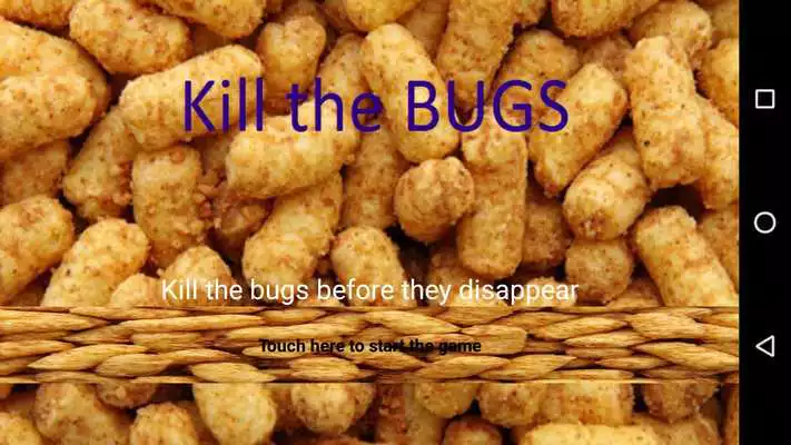 Play Kill bugs